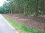 schulwald 05  01