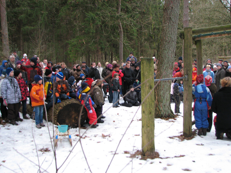 maerchenwald_10_12