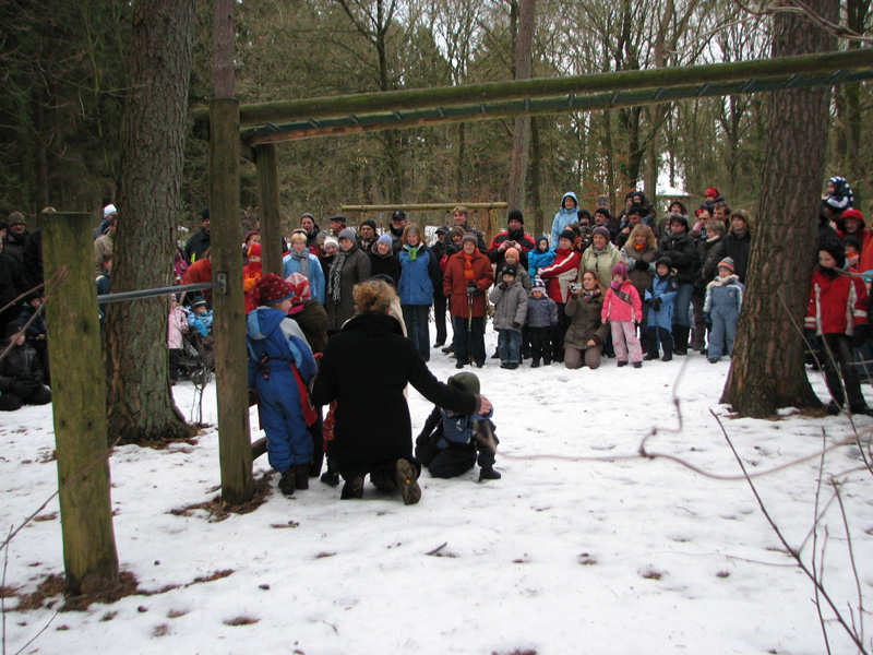 maerchenwald_10_13