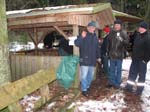 maerchenwald_10_19