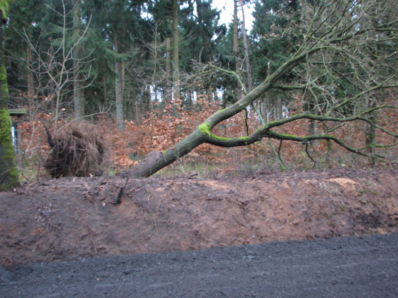 sturm2013_01