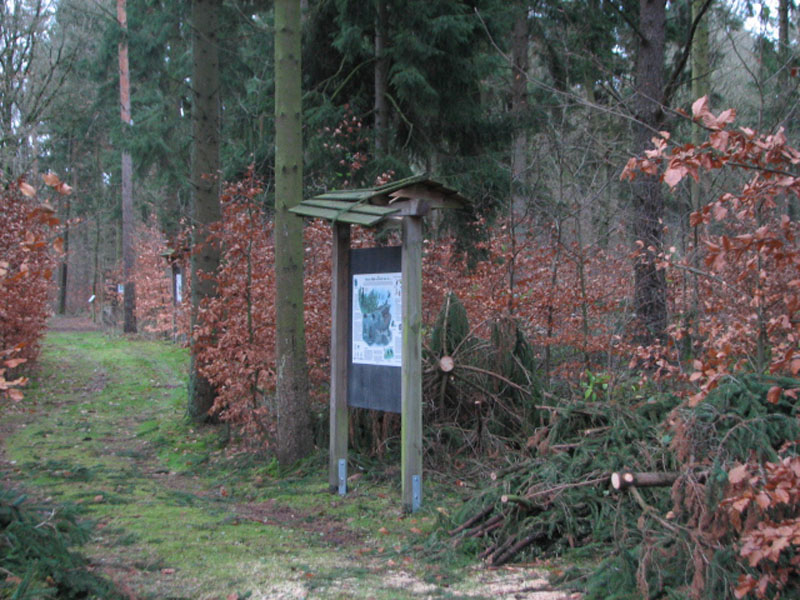 sturm2013_03