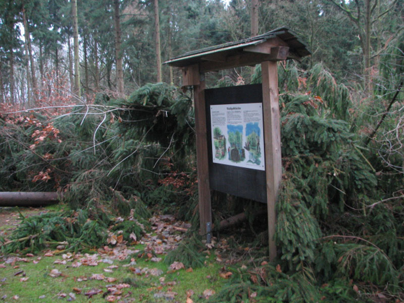 sturm2013_04