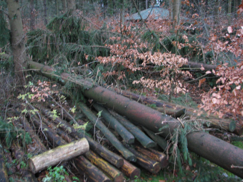 sturm2013_05