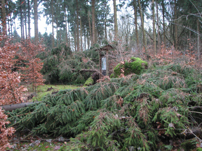 sturm2013_06