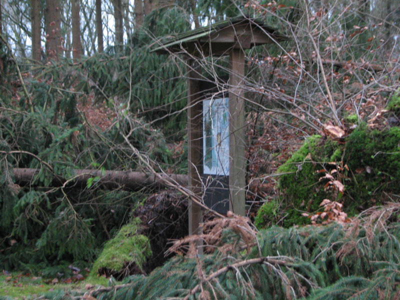sturm2013_07