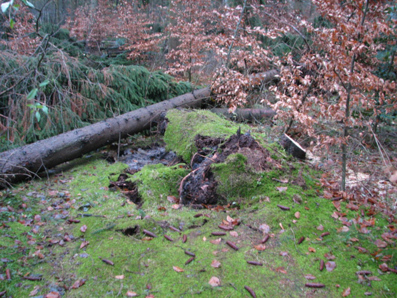 sturm2013_09