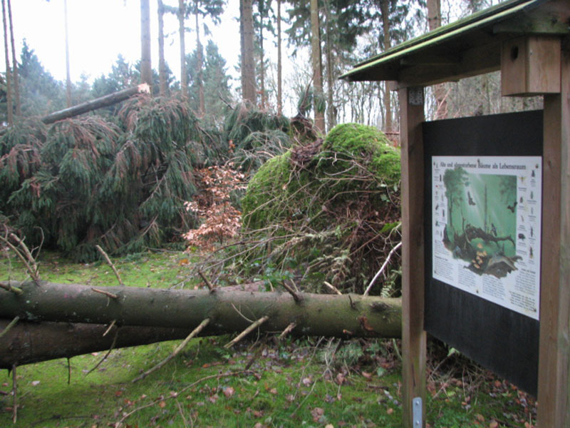 sturm2013_12