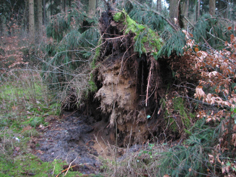 sturm2013_13
