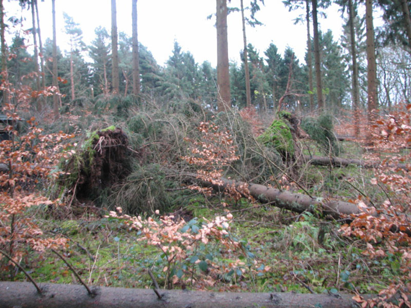 sturm2013_14