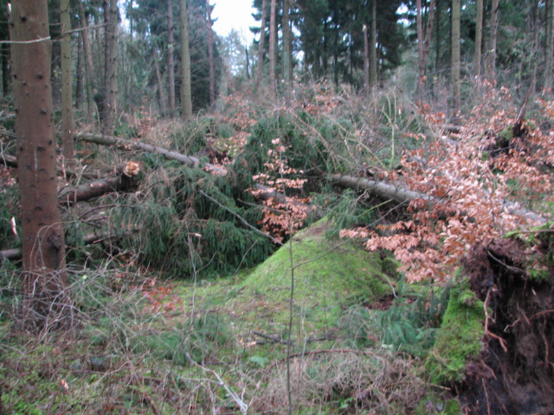 sturm2013_16
