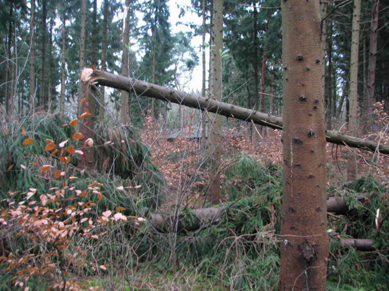 sturm2013_18