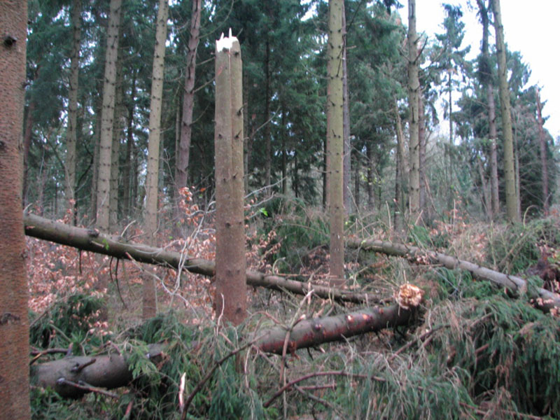 sturm2013_20