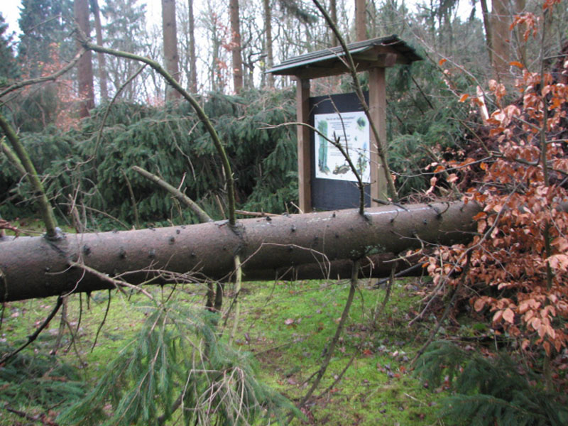 sturm2013_21