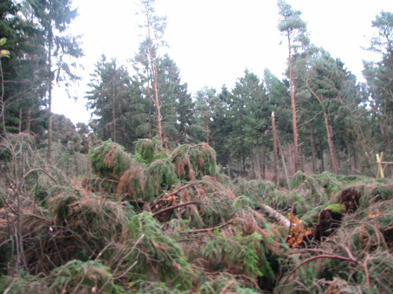 sturm2013_24