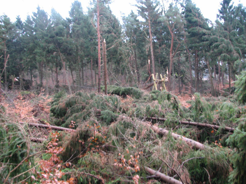sturm2013_25