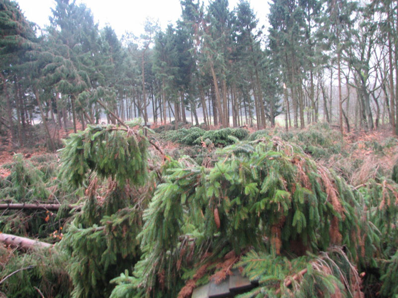 sturm2013_26
