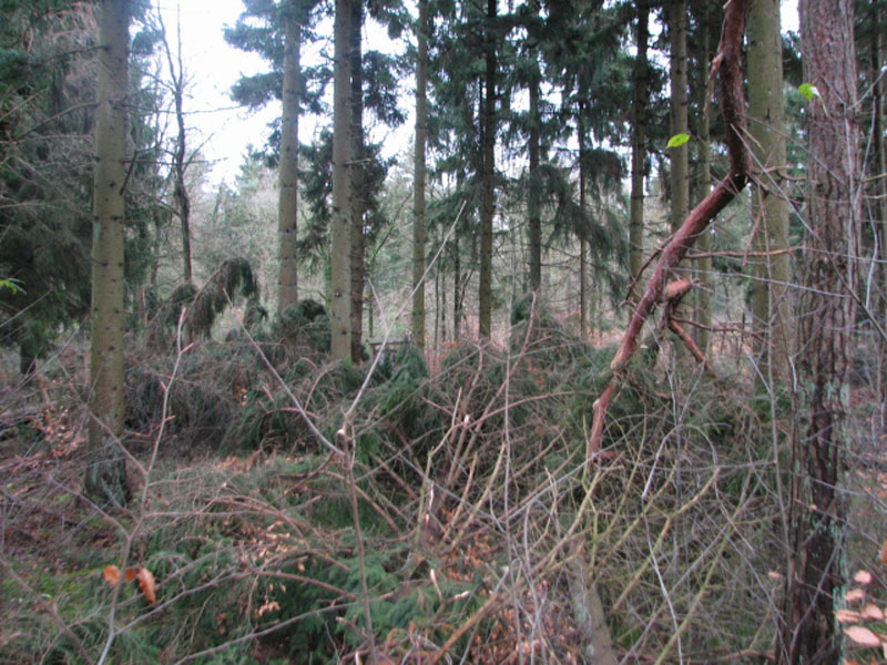 sturm2013_32