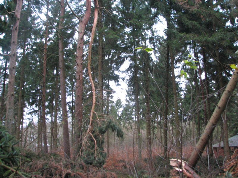 sturm2013_33