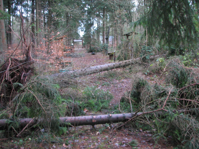 sturm2013_36