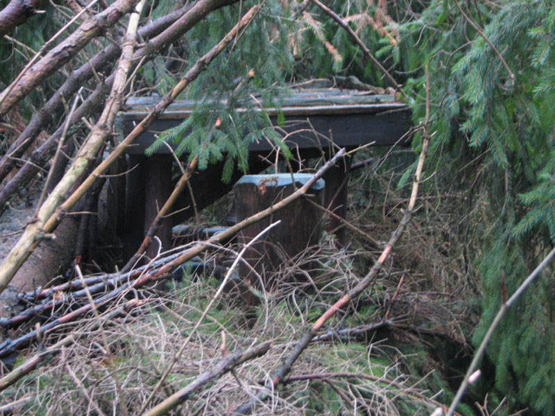 sturm2013_39