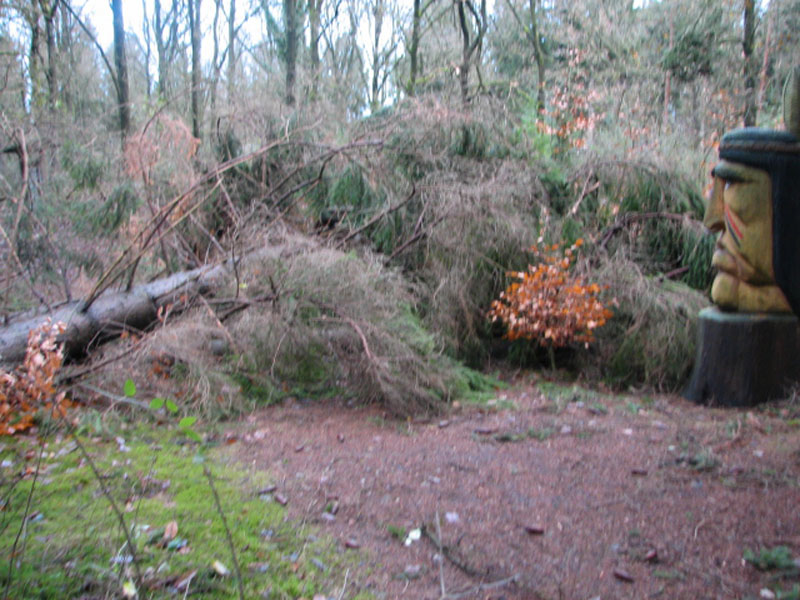 sturm2013_41