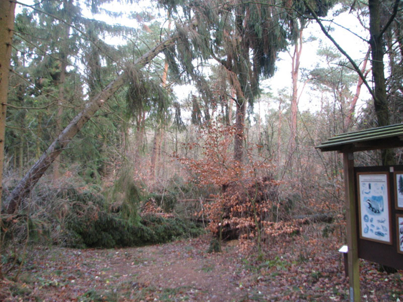 sturm2013_58