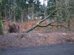sturm2013_01