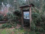 sturm2013_04