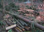sturm2013_05