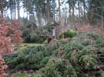 sturm2013_06