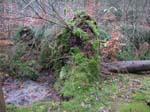sturm2013_08