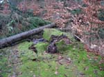 sturm2013_09
