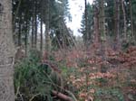 sturm2013_10