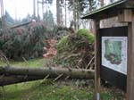sturm2013_12