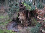 sturm2013_13
