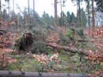 sturm2013_14