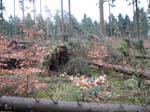 sturm2013_15