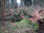 sturm2013_16