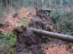 sturm2013_17