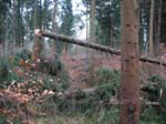 sturm2013_18