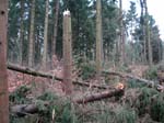 sturm2013_20