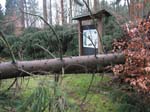sturm2013_21