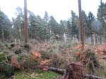 sturm2013_22