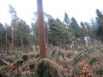 sturm2013_23