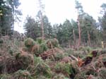 sturm2013_24