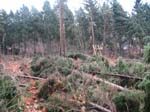 sturm2013_25