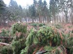sturm2013_26