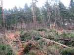 sturm2013_27