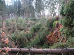 sturm2013_29